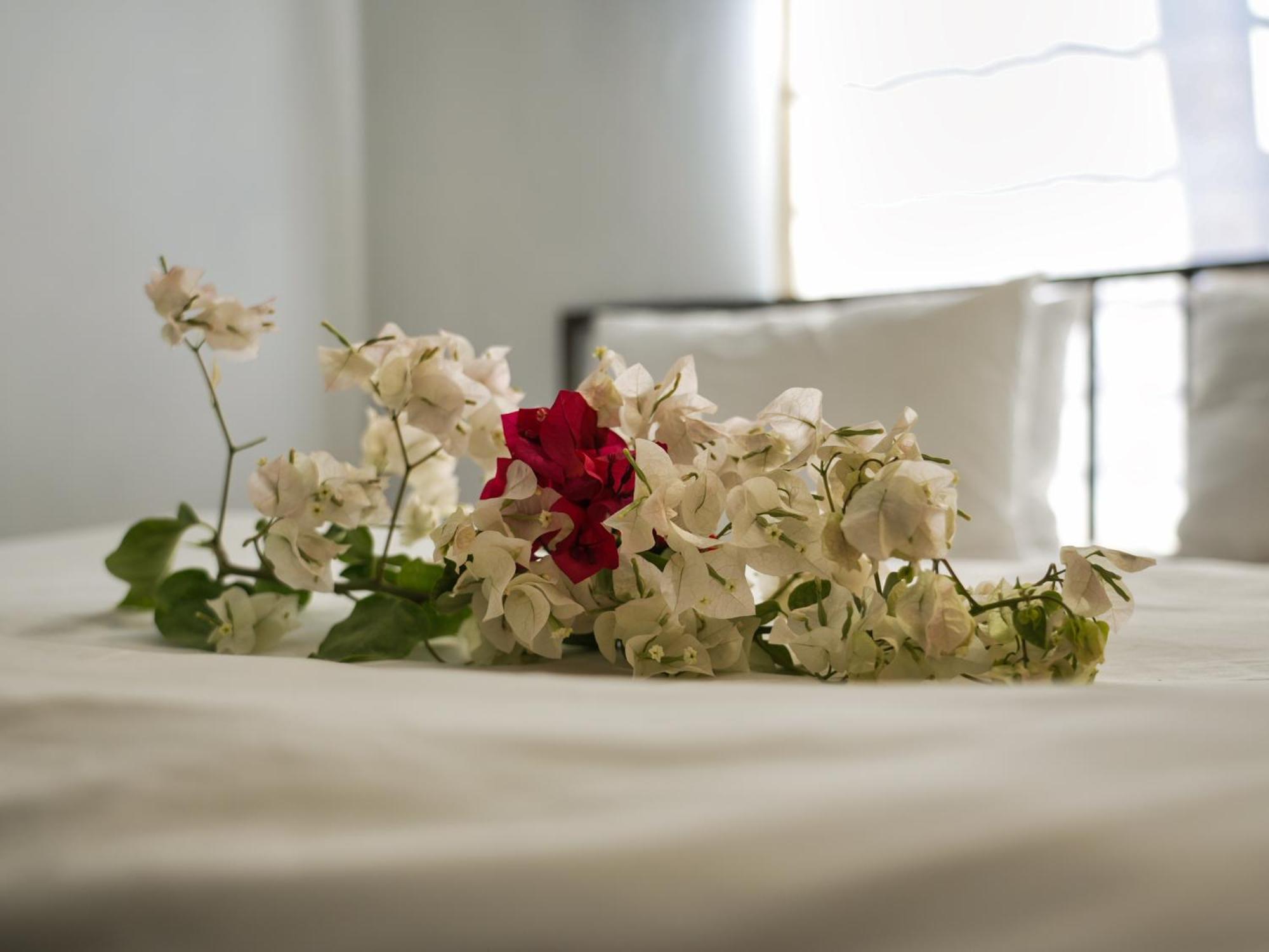 Golentle Home Stay Maun Quarto foto